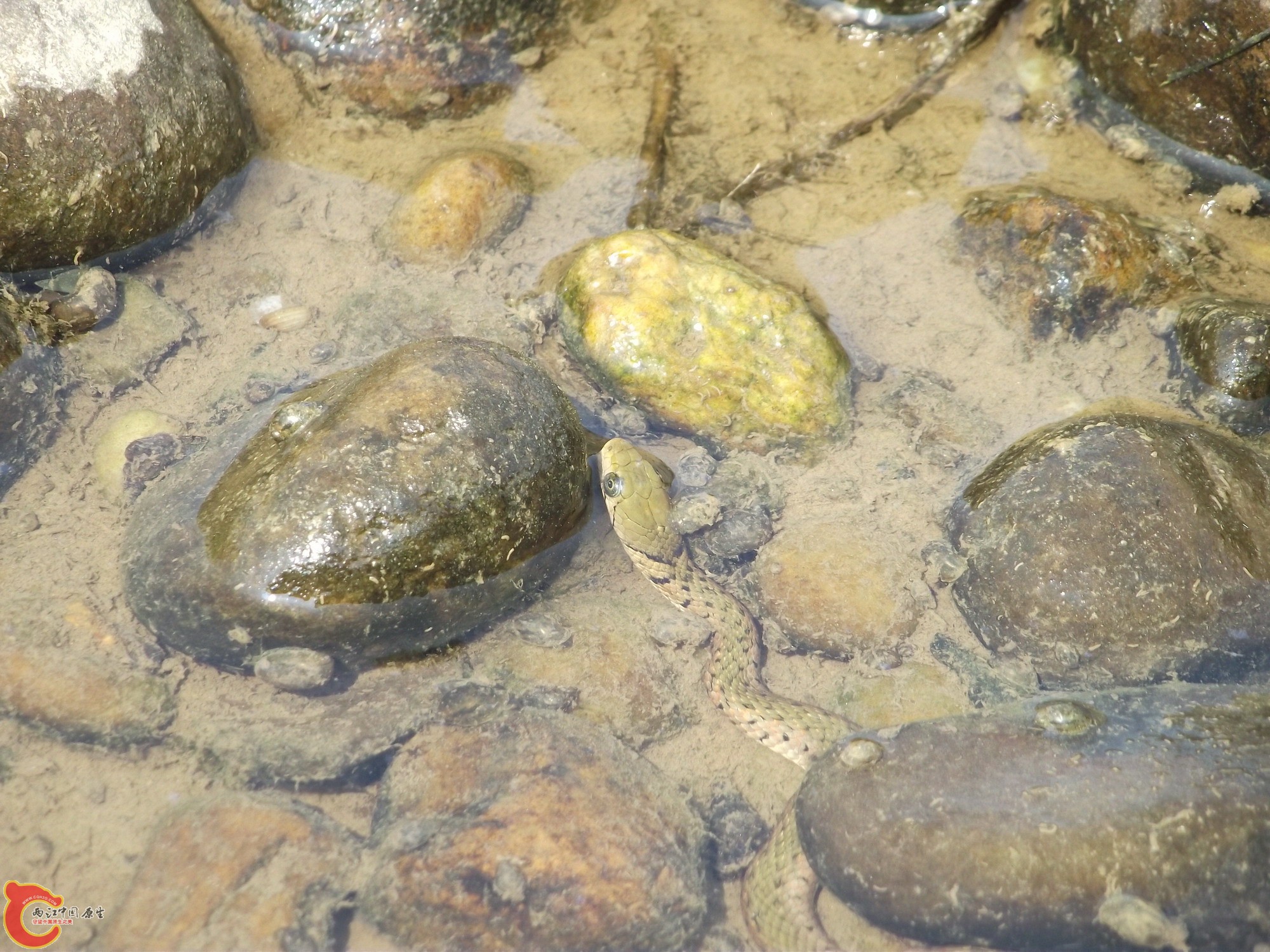 DSCF0658.JPG