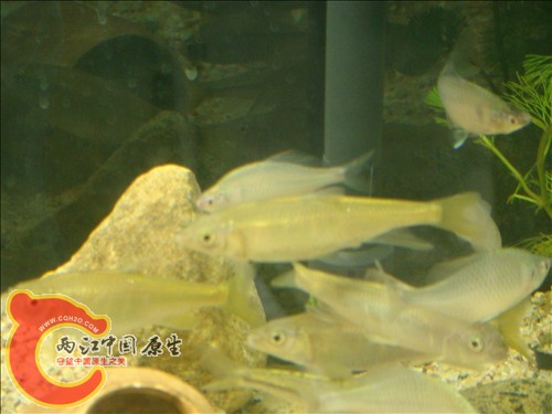 DSC02705.JPG