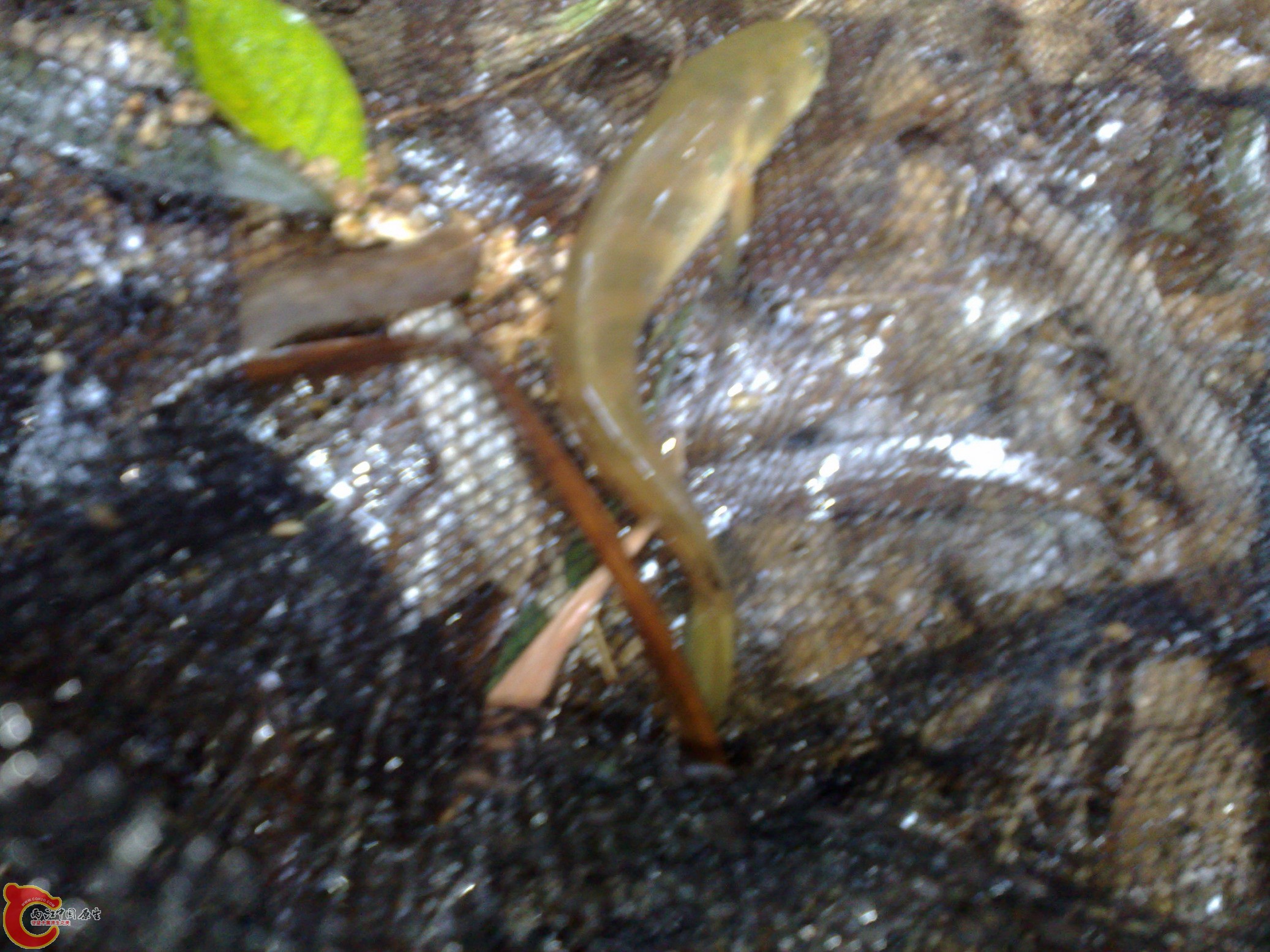 20101019071.jpg