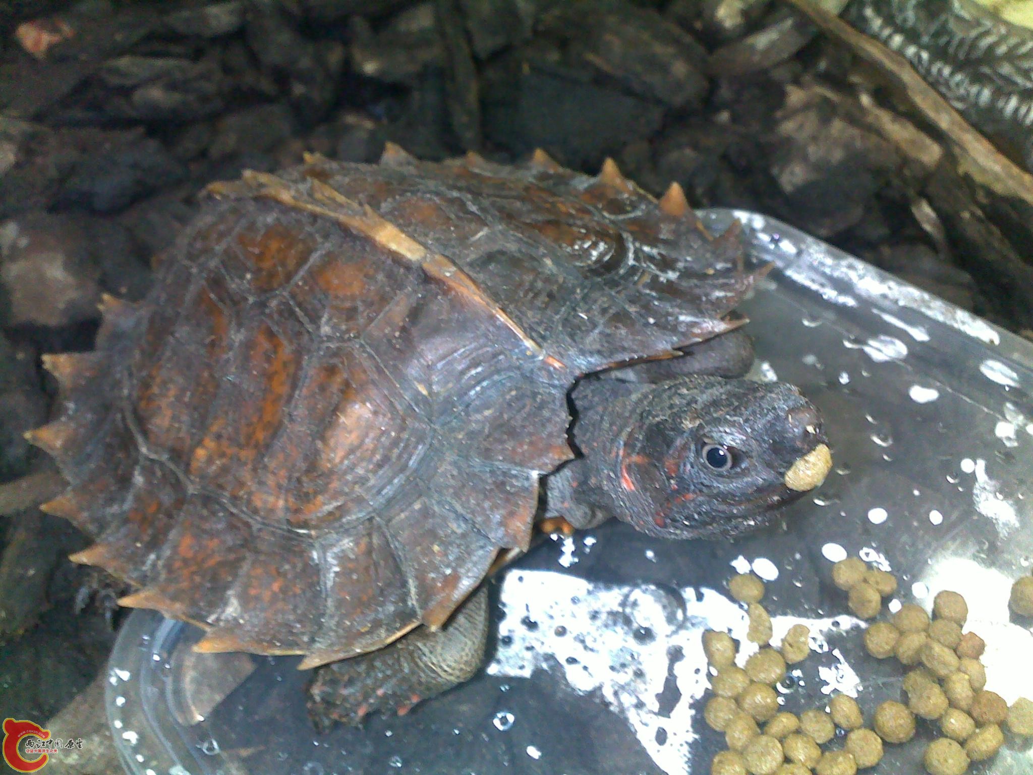 20100629641.jpg