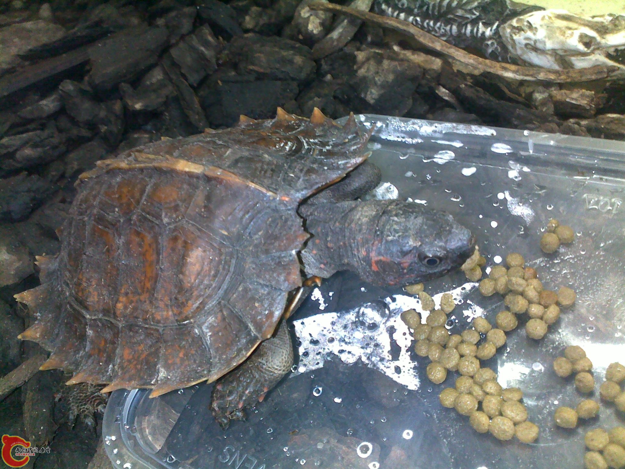 20100629639.jpg