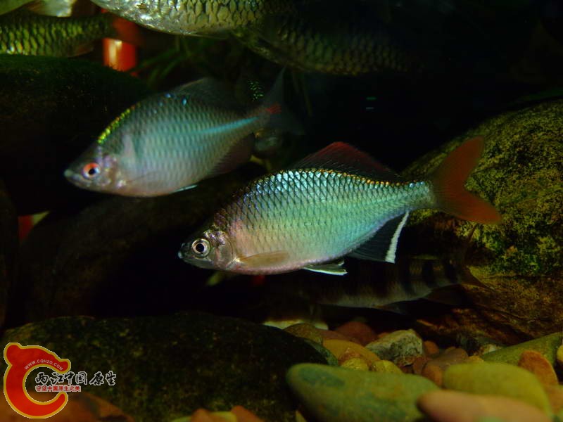 DSCF4034.jpg