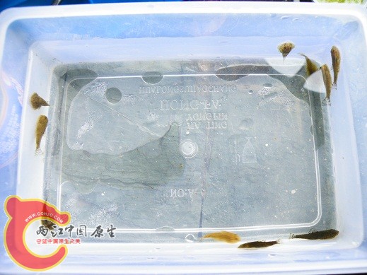 整体再来一张
