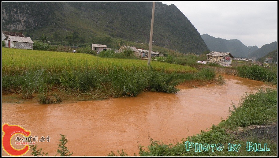 DSCN6725.jpg