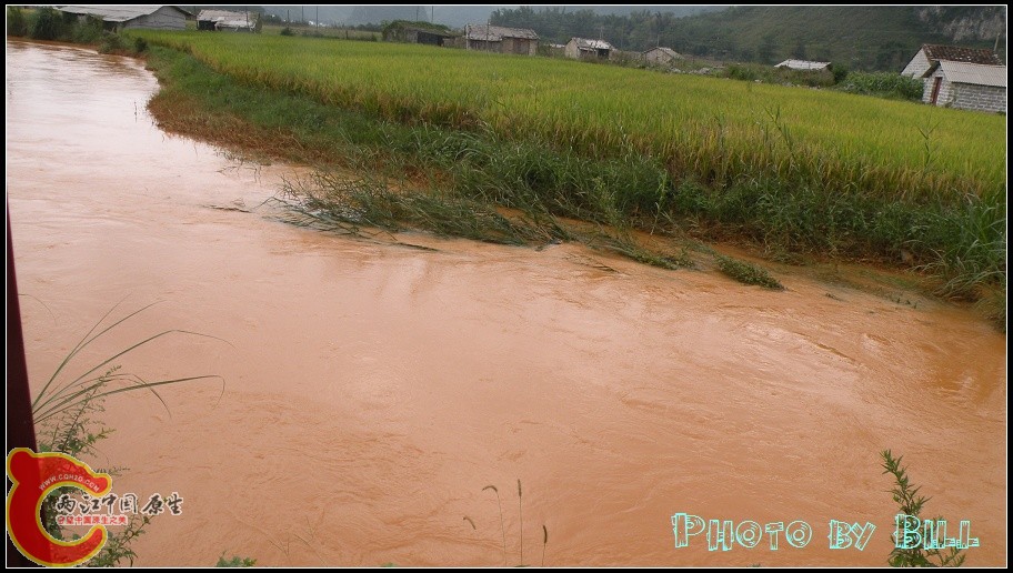 DSCN6726.jpg
