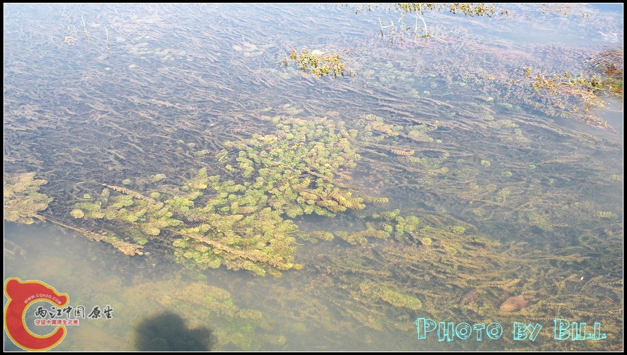 DSCN6801.jpg
