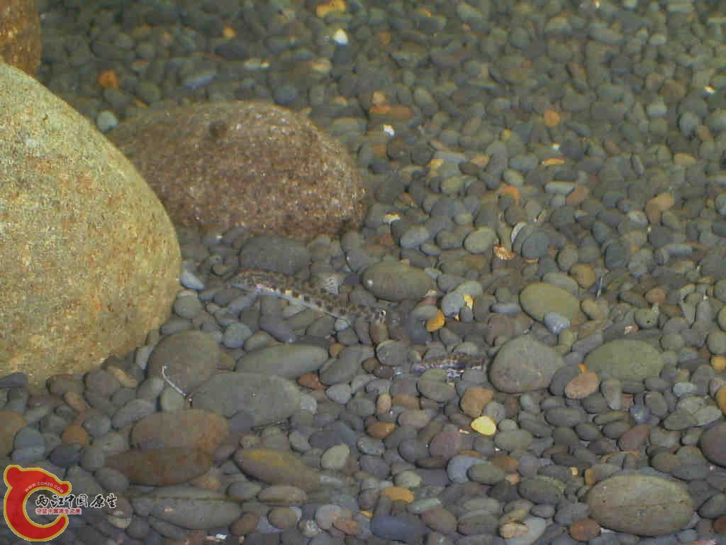 S5030163.JPG