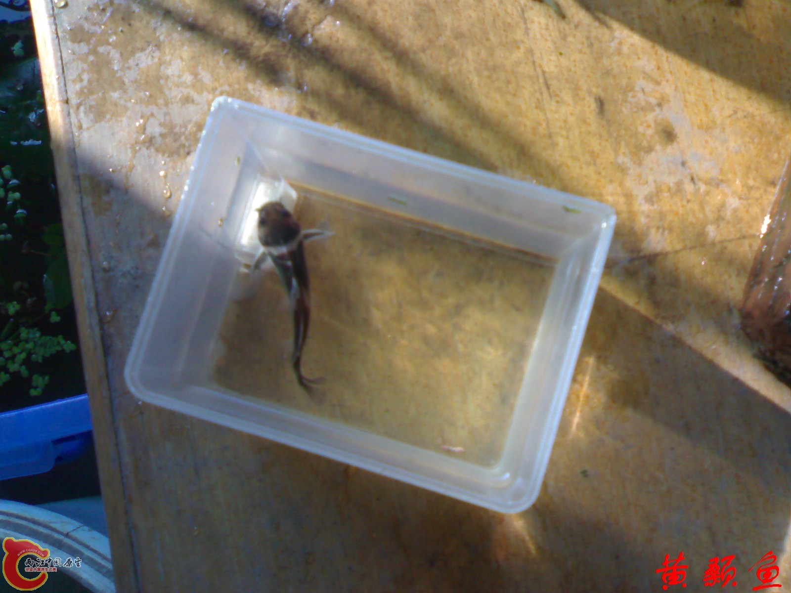 20101023461.jpg