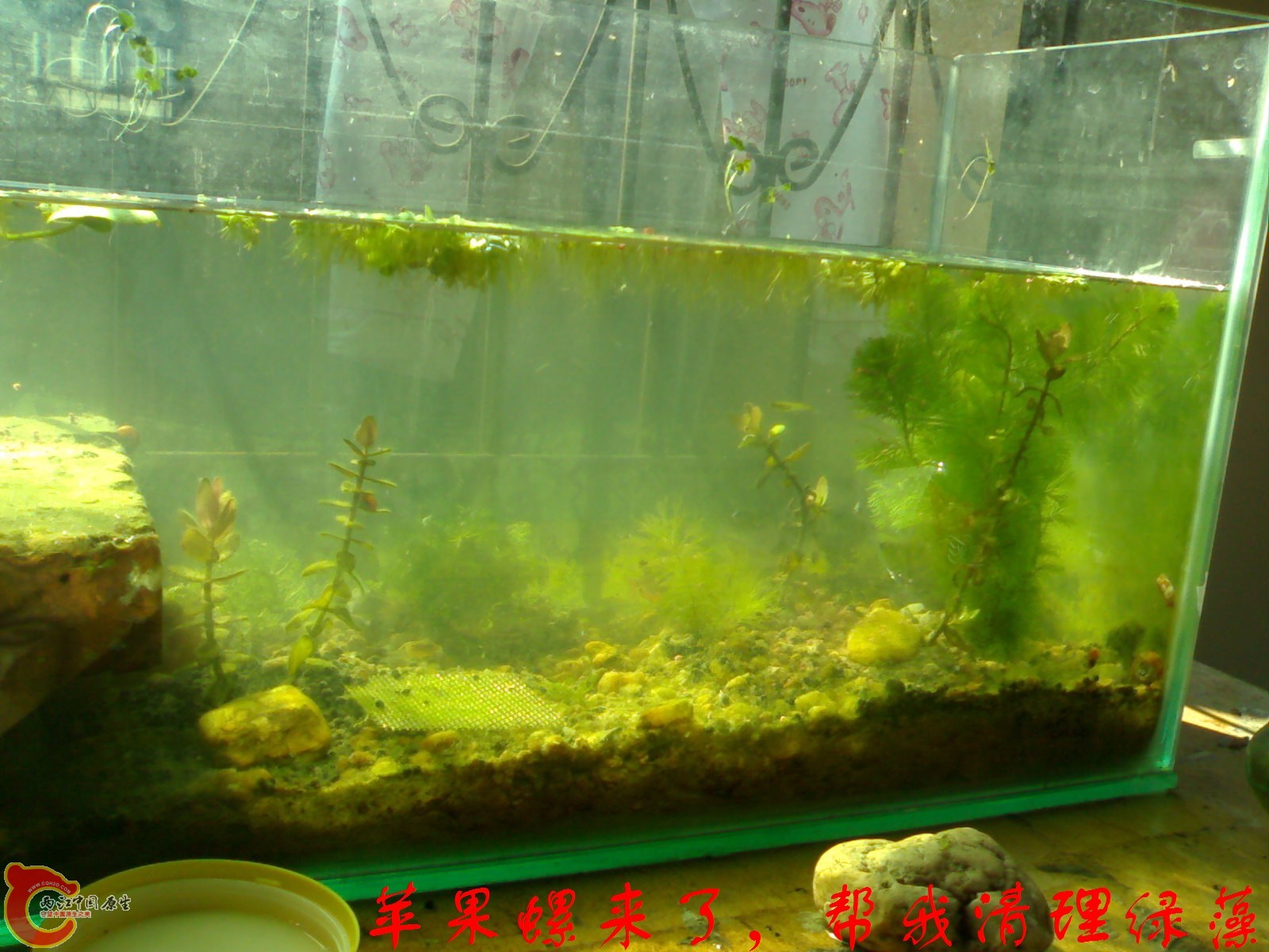 20101023478.jpg