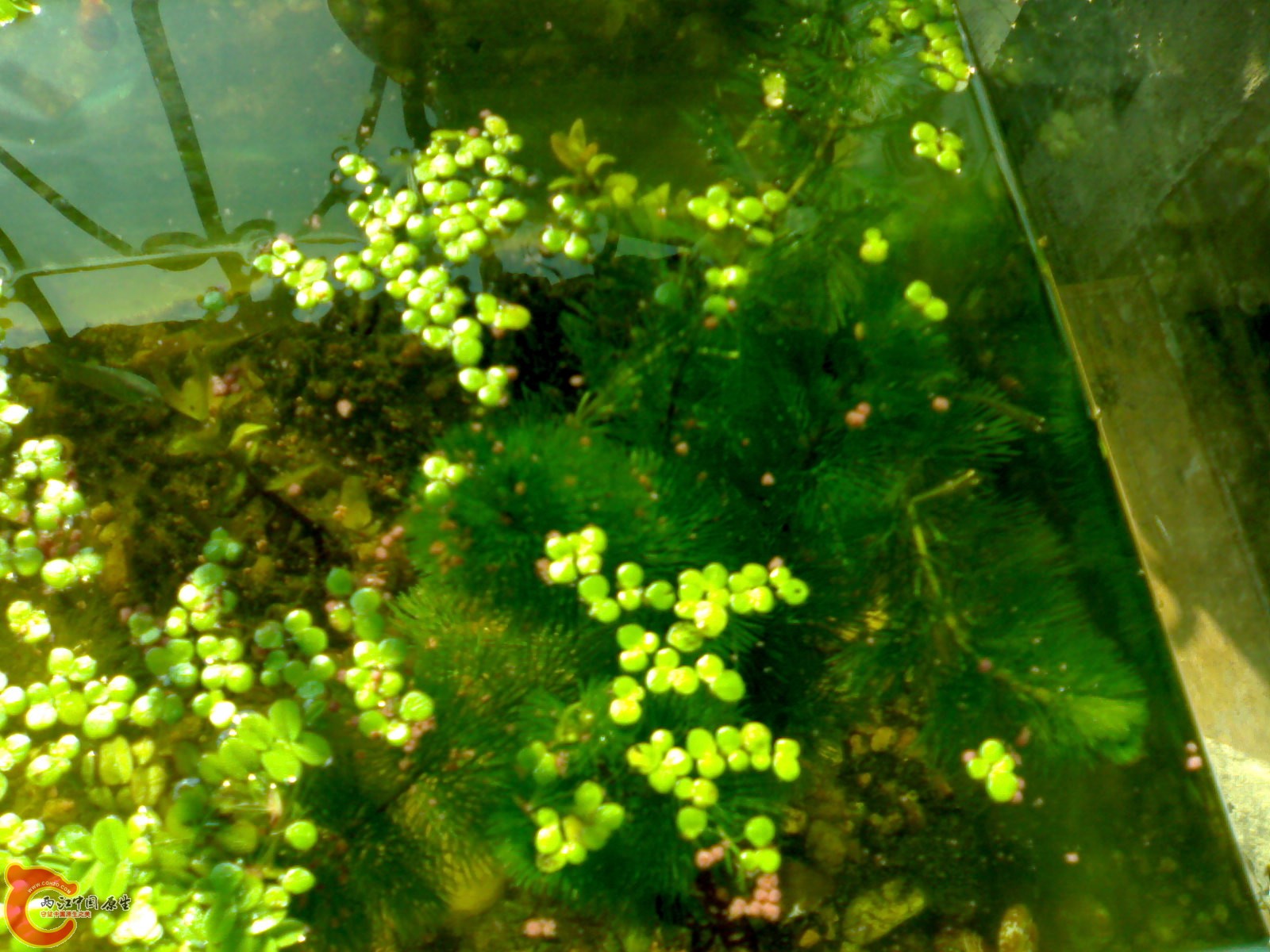 20101023475.jpg