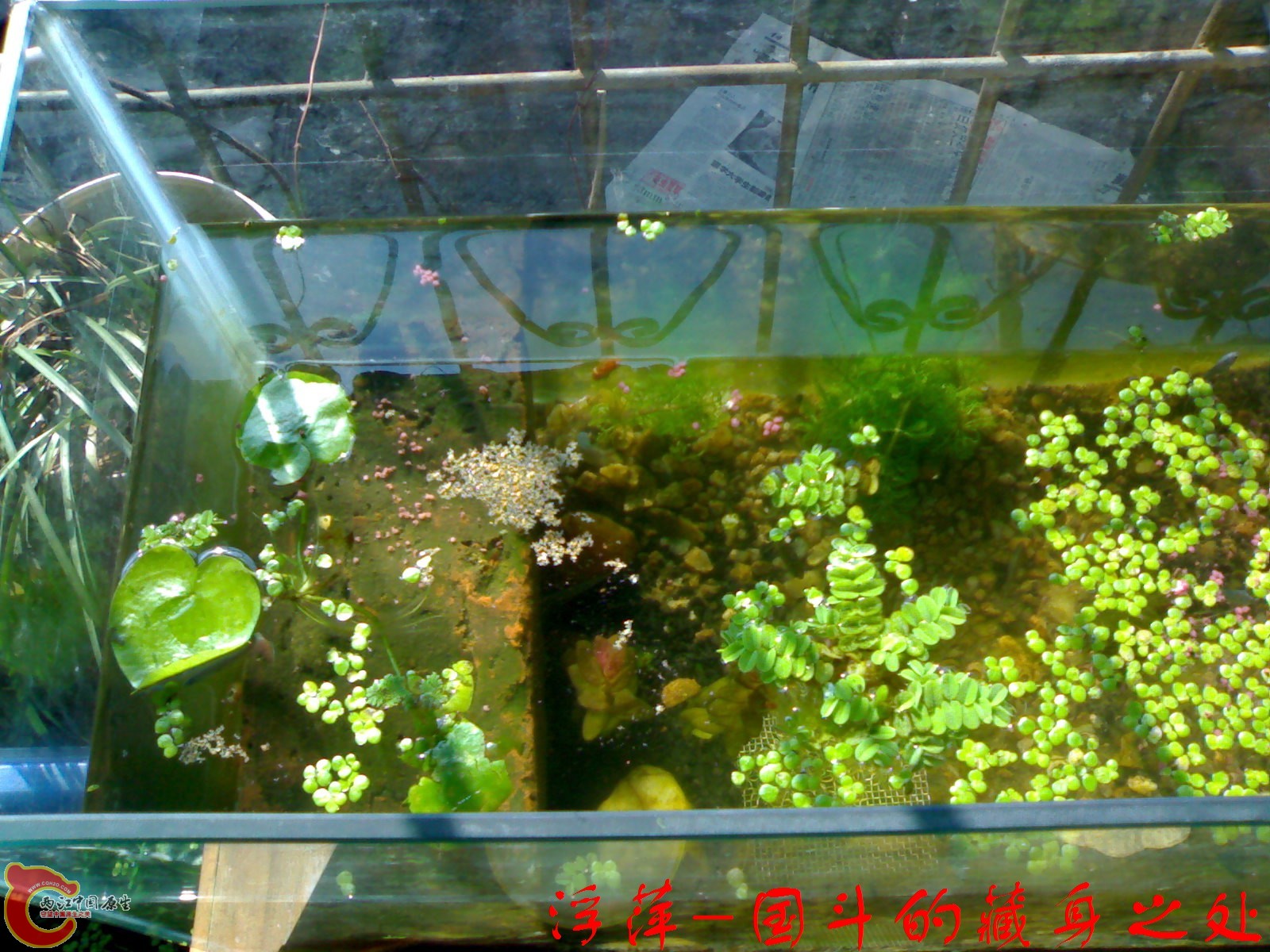 20101023482.jpg