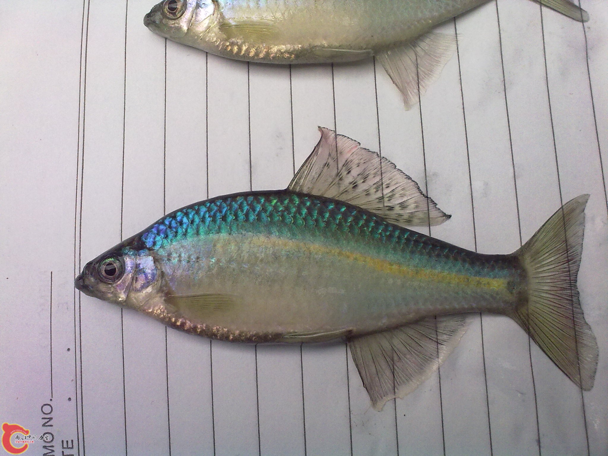 20100422517.jpg