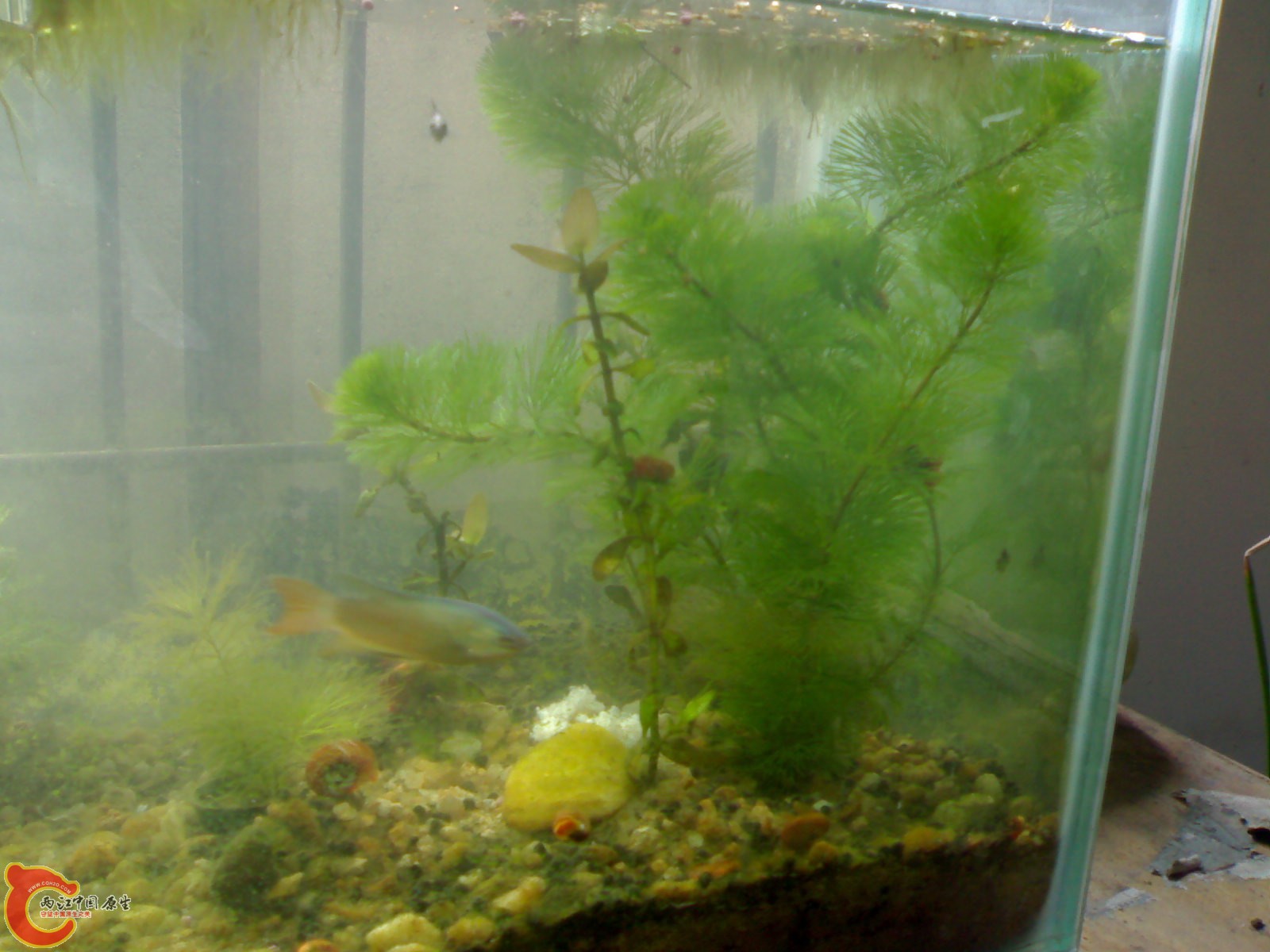 20101024536.jpg