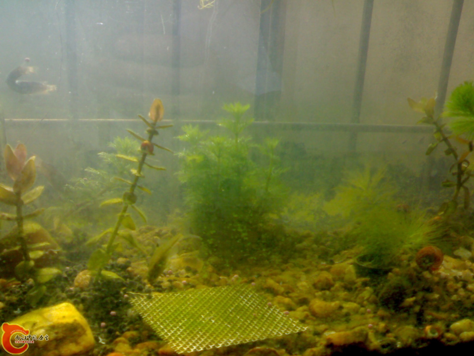 20101024537.jpg