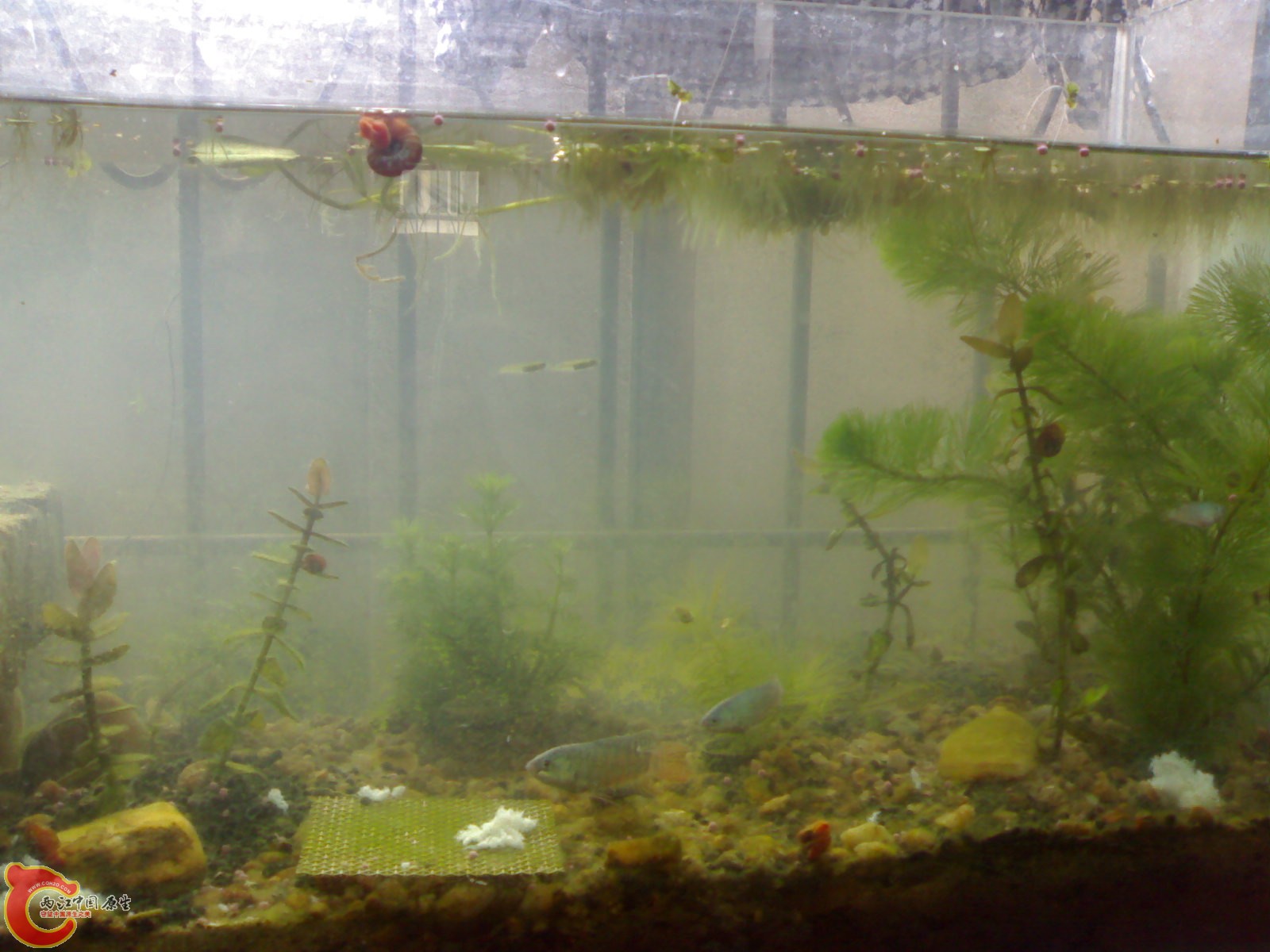 20101024539.jpg