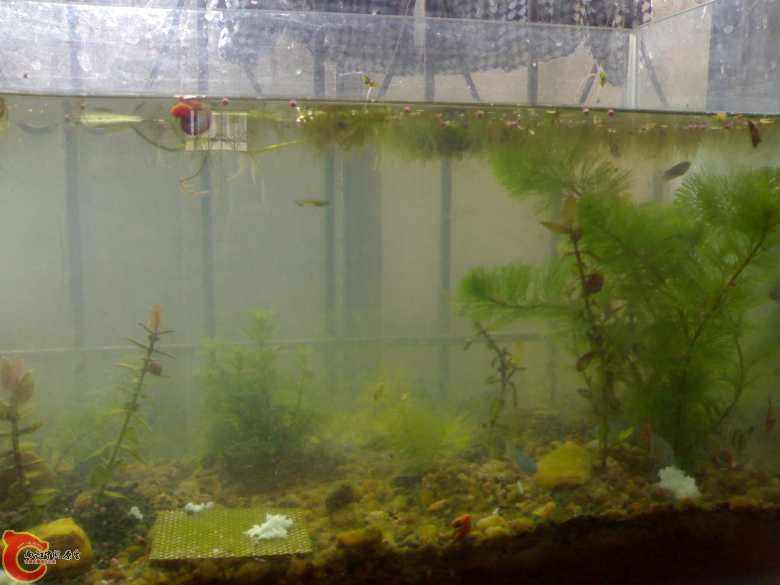20101024540.jpg