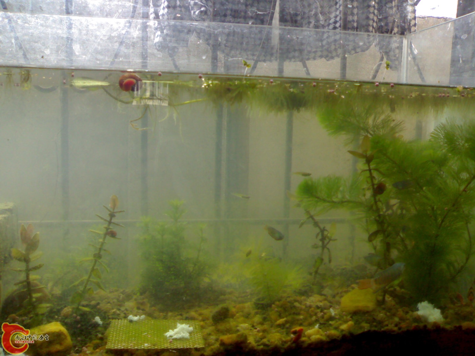 20101024541.jpg