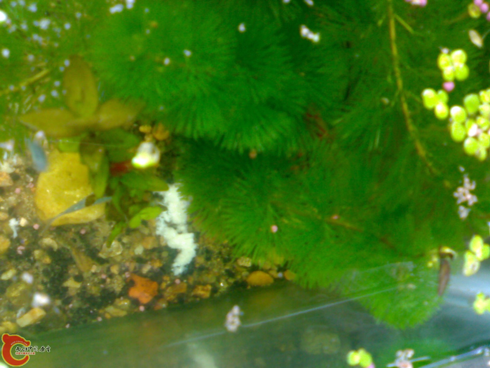 20101024542.jpg