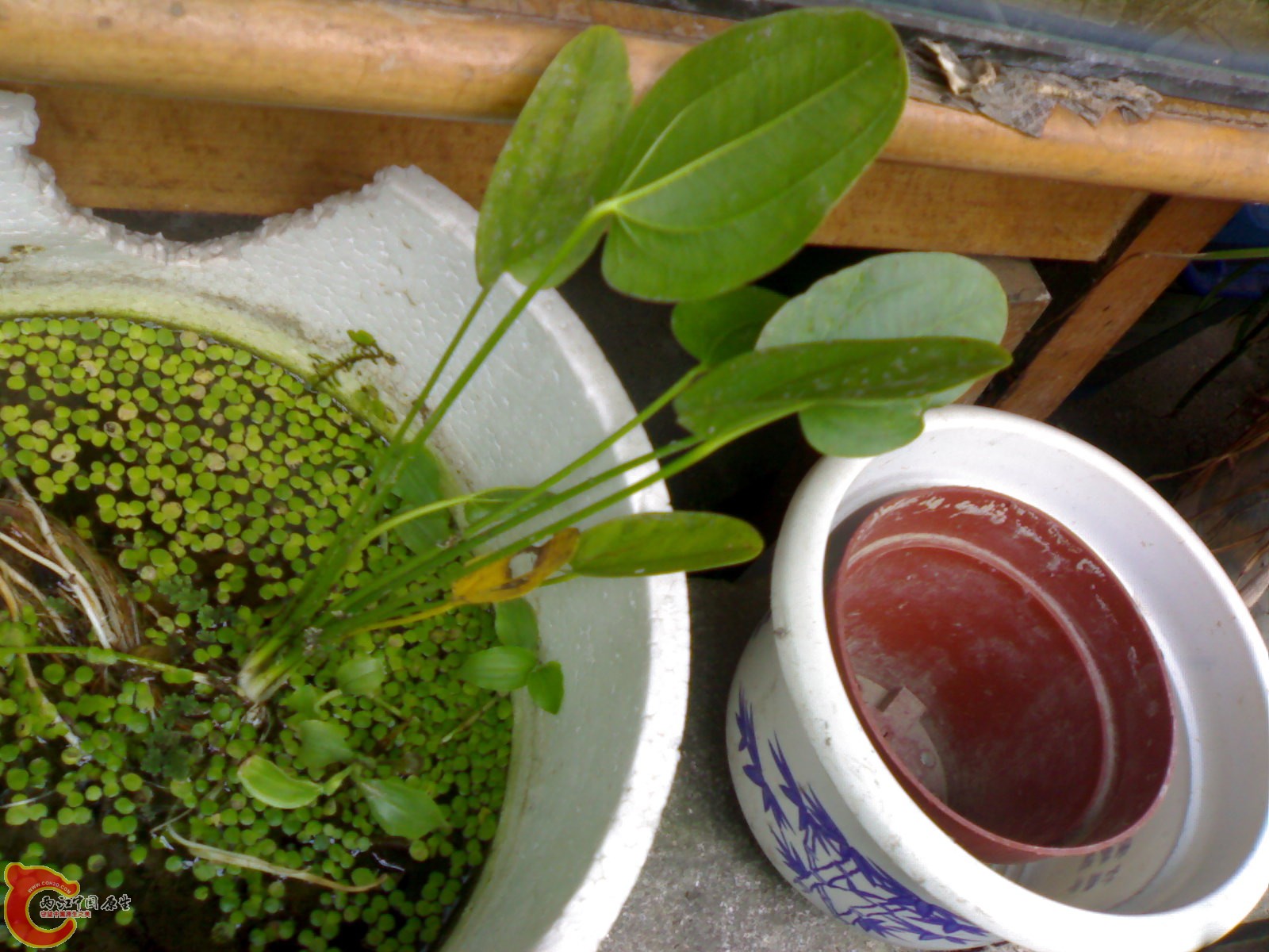 20101024543.jpg