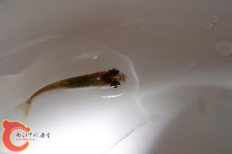 DSCF7138.jpg
