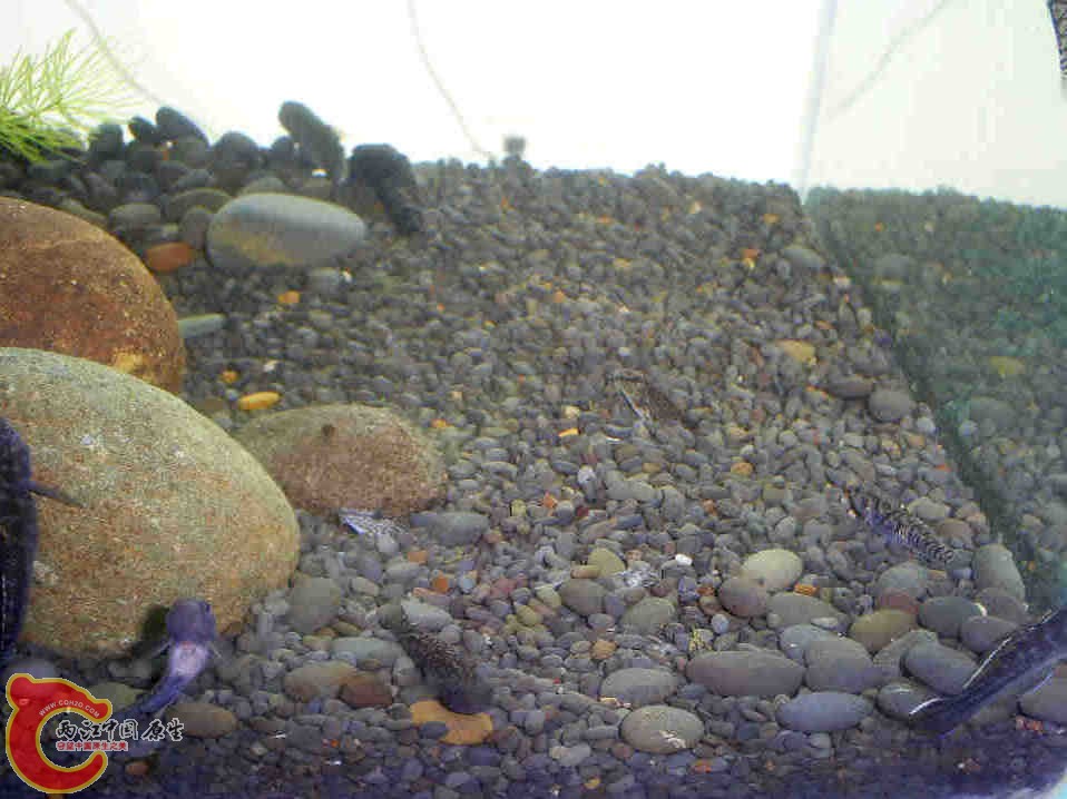 S5030184.JPG