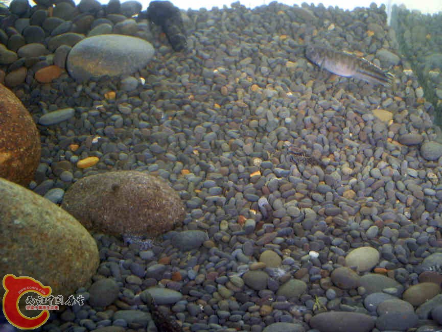 S5030183.JPG