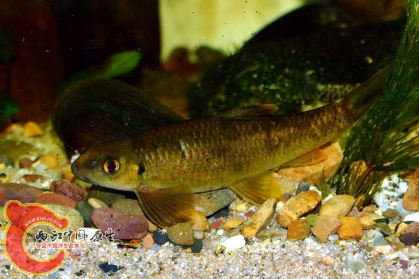DSCF5049.jpg