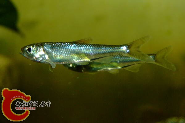 DSCF5038.jpg