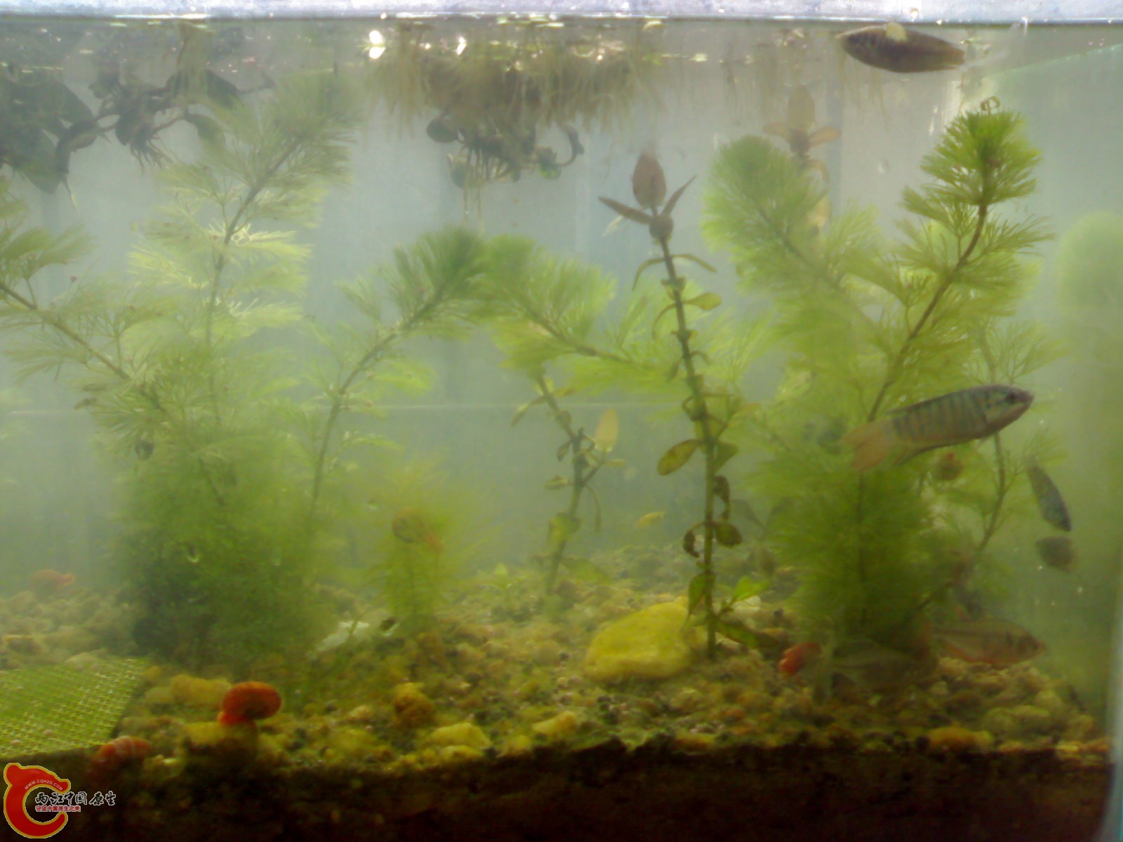 20101026566.jpg