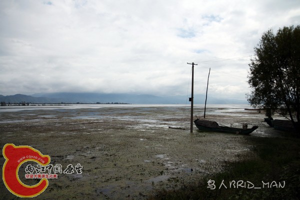 大理洱海.jpg
