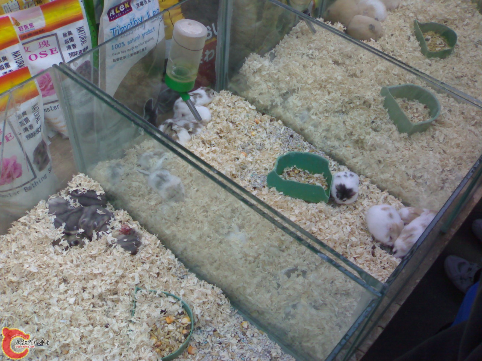 20101030616.jpg