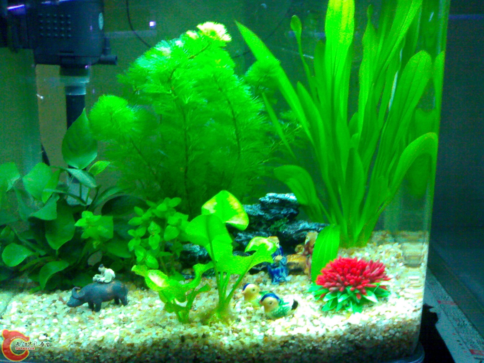 20101030617.jpg