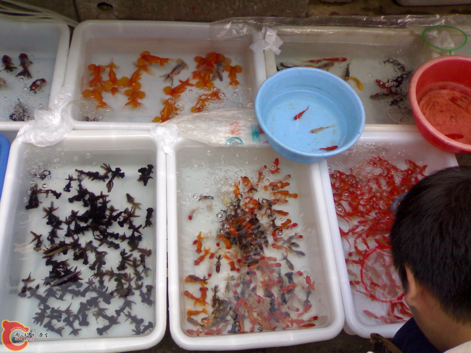 20101030622.jpg