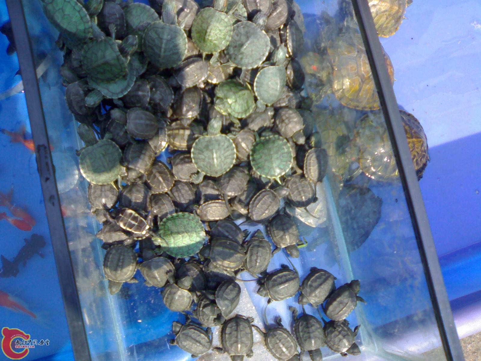 20101030623.jpg