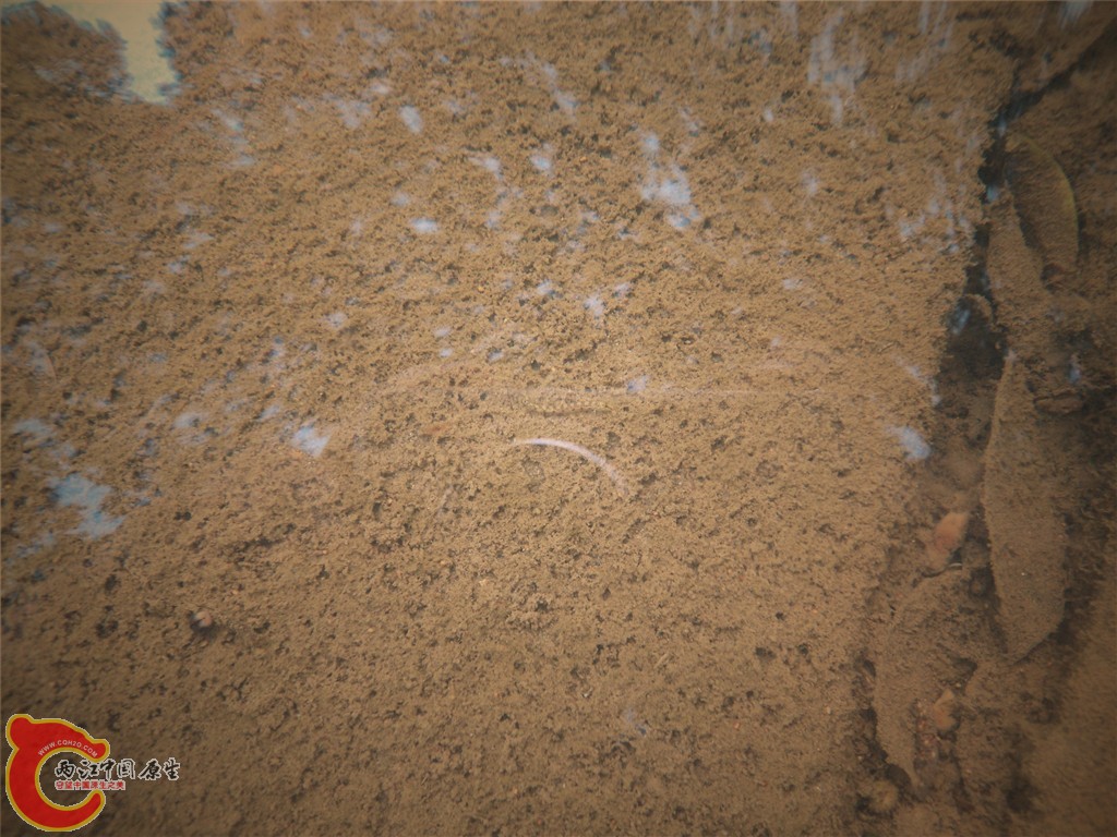 DSC01698_副本.jpg
