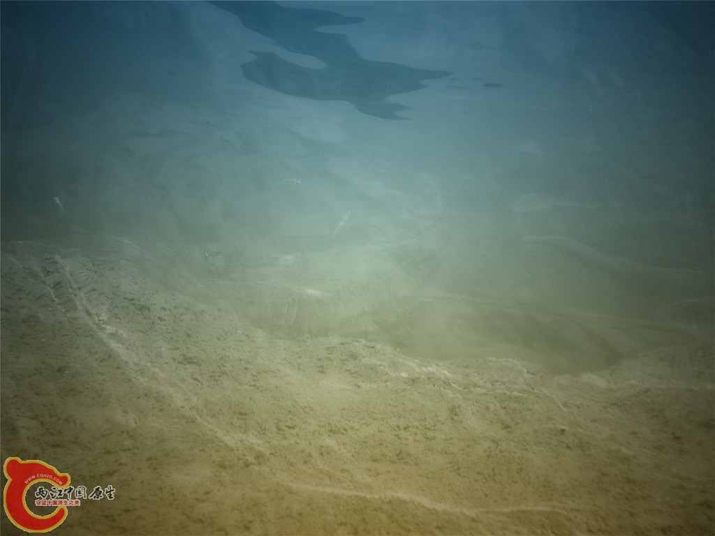 DSC01705_副本.jpg
