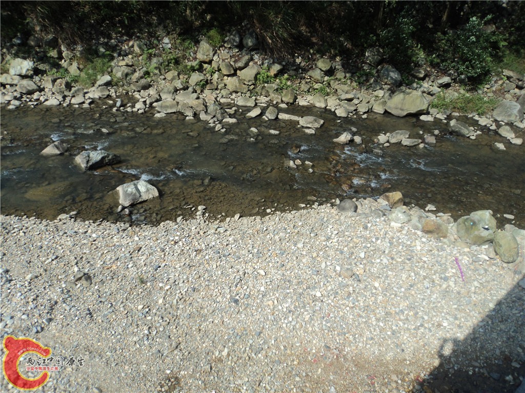 DSC01700_副本.jpg