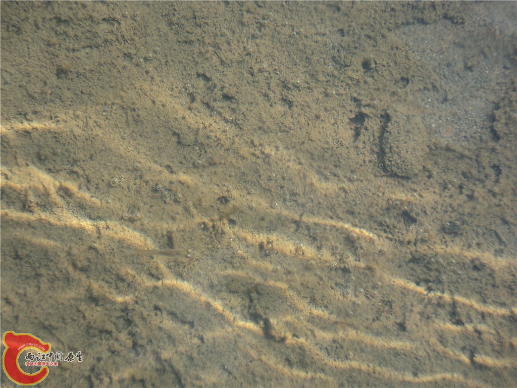 DSC01707_副本.jpg