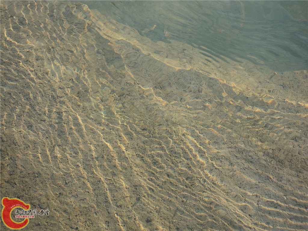 DSC01706_副本.jpg