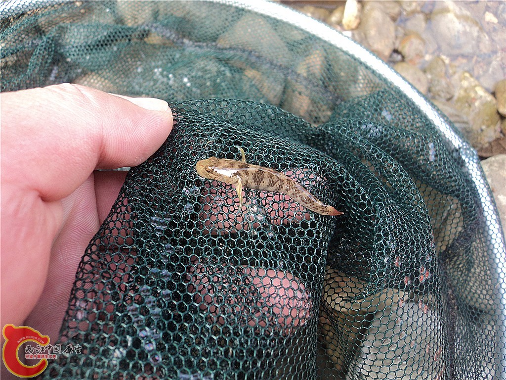DSC01703_副本.jpg