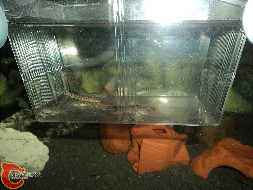 DSC01710_副本.jpg
