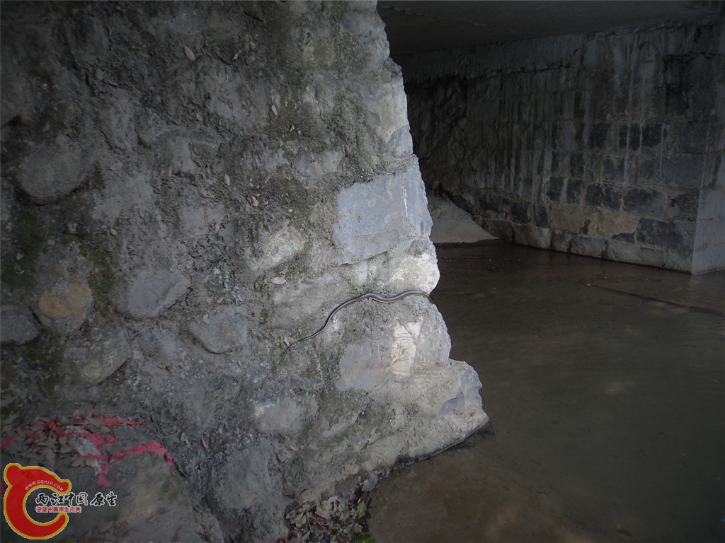 DSC01708_副本.jpg