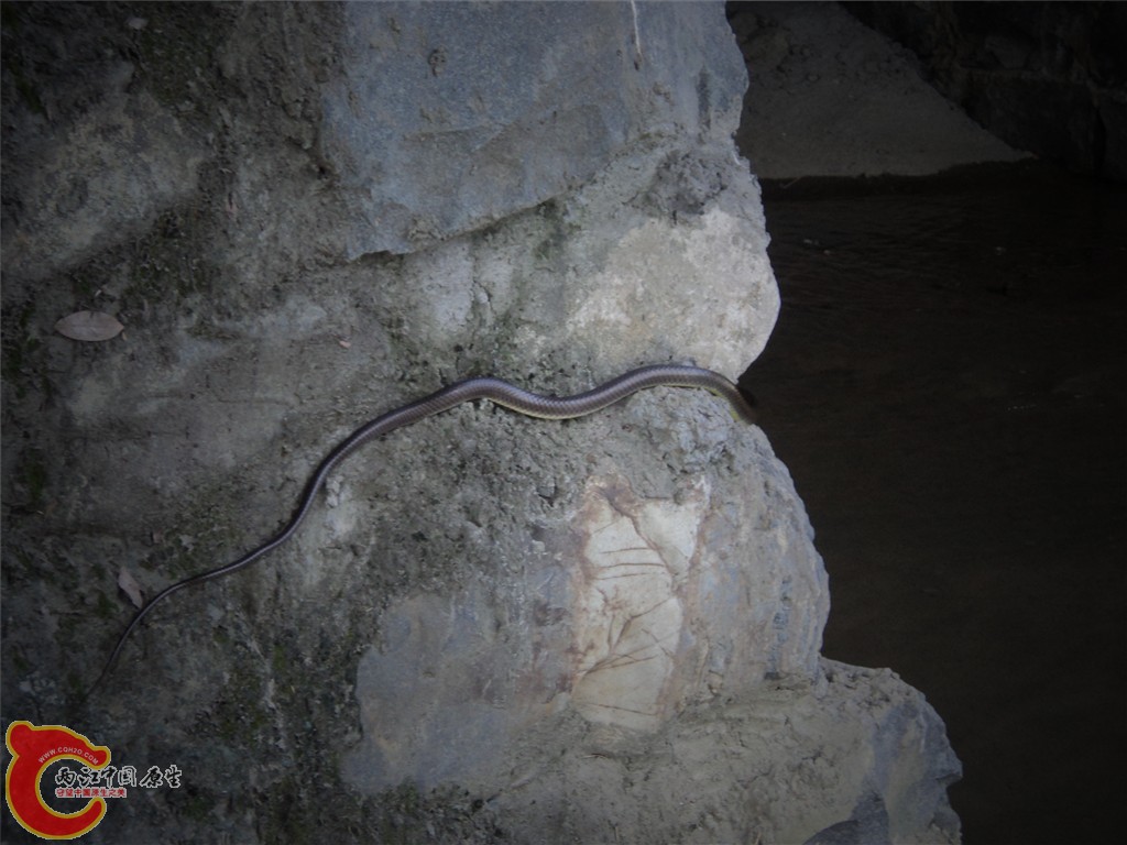 DSC01709_副本.jpg