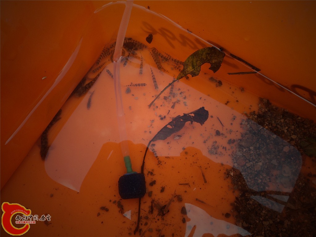 DSC01702_副本.jpg
