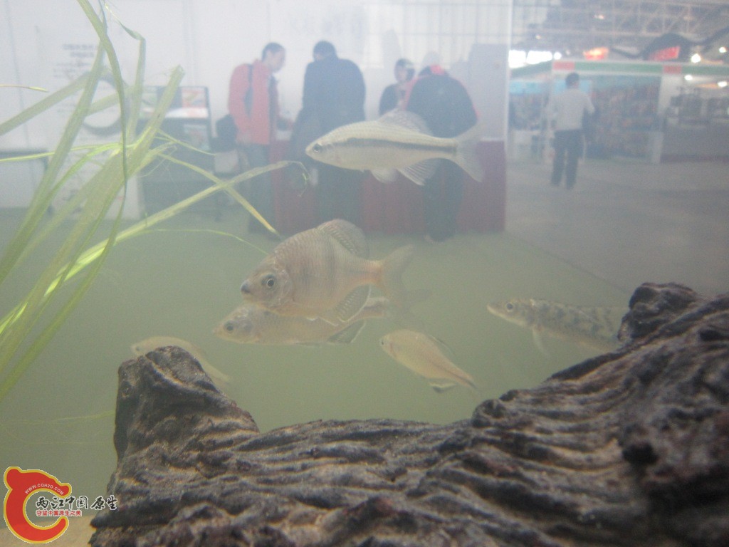 IMG_3294.JPG