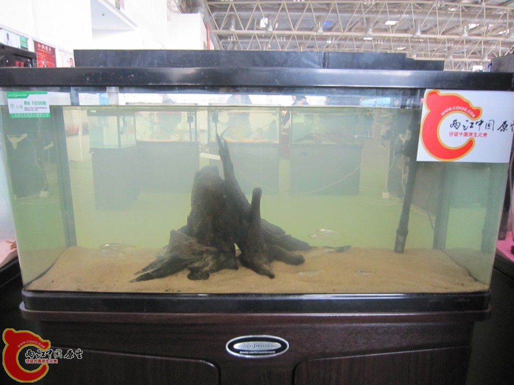 IMG_3395.JPG