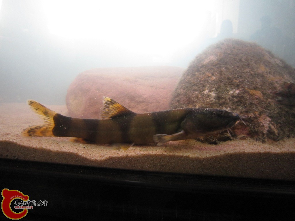 IMG_3442.JPG