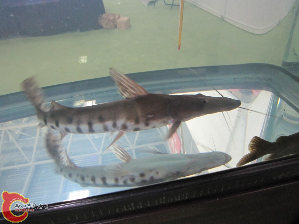 IMG_3344.JPG