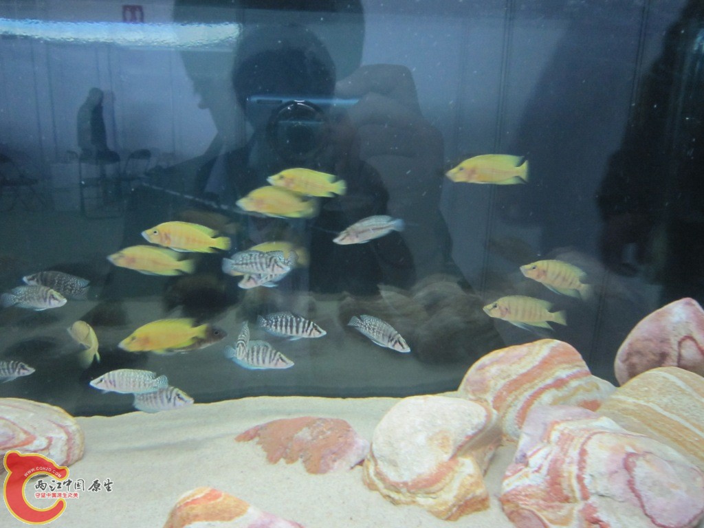 IMG_3357.JPG