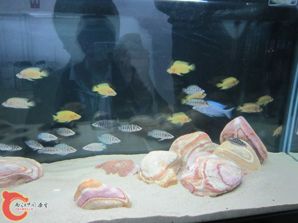 IMG_3356.JPG